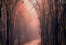 关于关于谷进标识的意见和建议怎么写范文比较好简单的信息