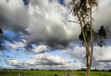 关于关于谷进标识的建议怎么写好的信息