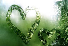 标识观点是什么意思啊怎么写比较好的简单概括,标识 作用