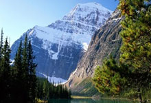 标识制作案例素材例子大全,标识设计素材